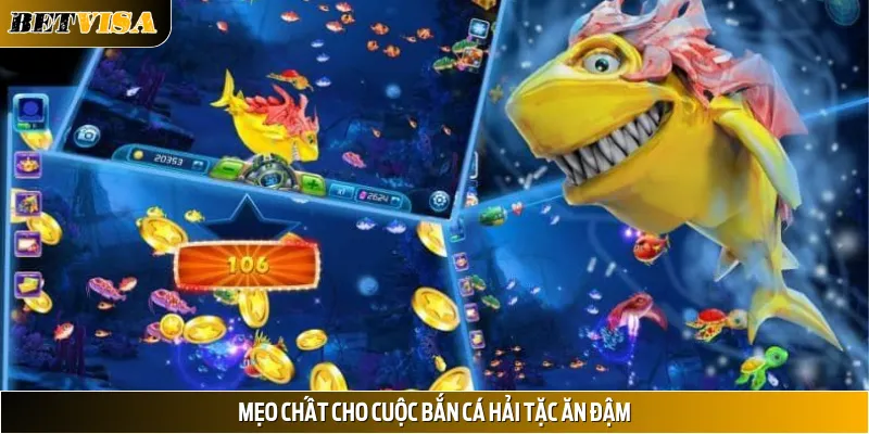 Thông tin mẹo chất cho cuộc bắn cá Hải Tặc ăn đậm