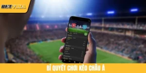 Bí Quyết Chơi Kèo Châu Á Hiệu Quả Như Cao Thủ Cá Cược