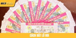Cách Bắt Lô Rơi Hiệu Quả Cho Newbie Luôn Thắng Tại BETVISA