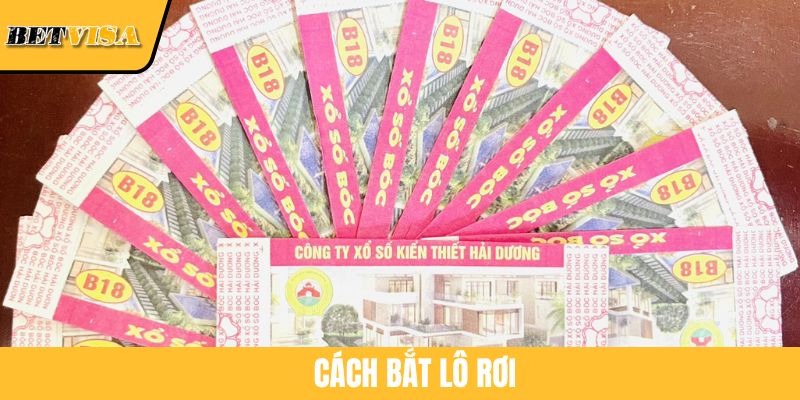 Cách Bắt Lô Rơi Hiệu Quả Cho Newbie Luôn Thắng Tại BETVISA