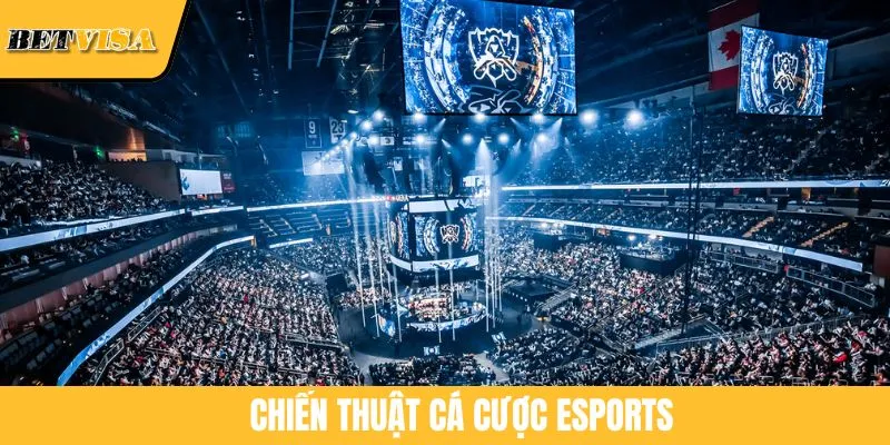 Chiến Thuật Cá Cược Esports Hiệu Quả Nhất BETVISA Hiện Nay
