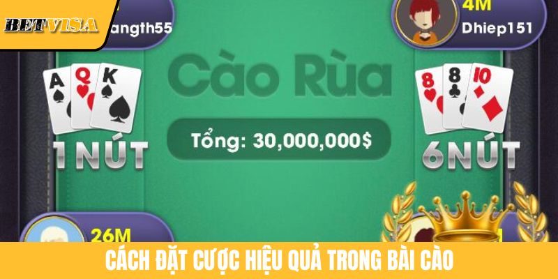 Cách đặt cược hiệu quả trong Bài Cào