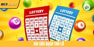 Soi Cầu Bạch Thủ Lô: Cánh Cửa May Mắn Cho Người Chơi Xổ Số